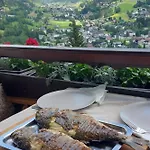 Apartment Una Bad Kleinkirchheim 公寓 巴德小基希海姆